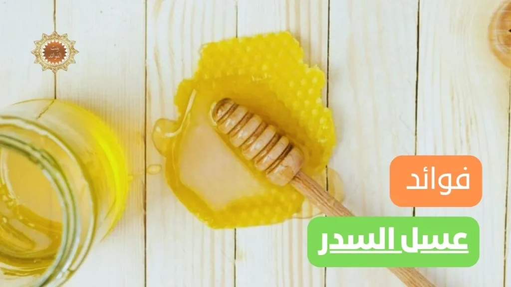 عسل السدر
