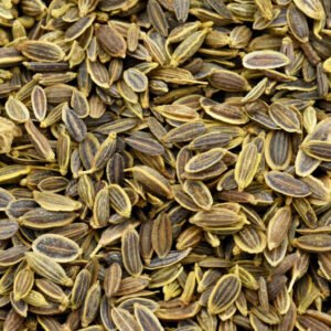 بذور الشبت