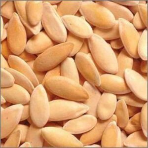 بذور الشمام
