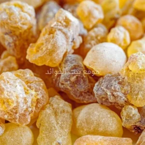 الكندر