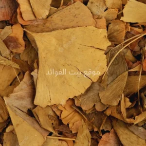 اوراق الجنكة