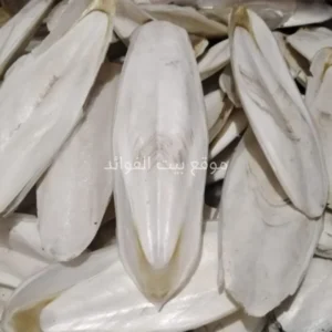 زبد البحر