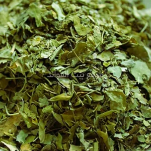 ورق المورينجا