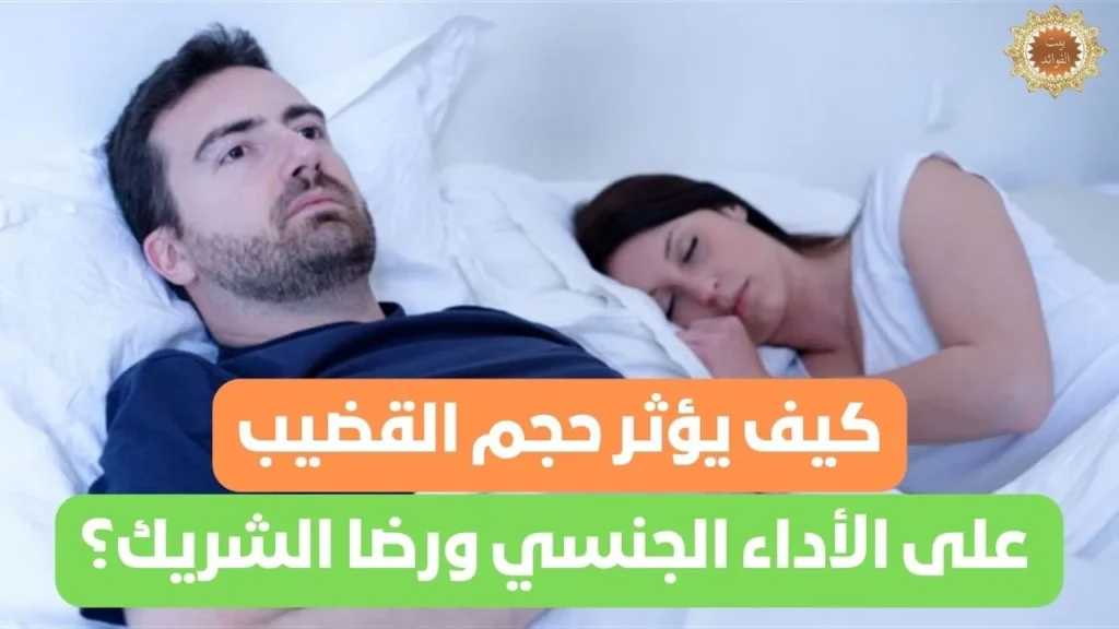 حجم القضيب