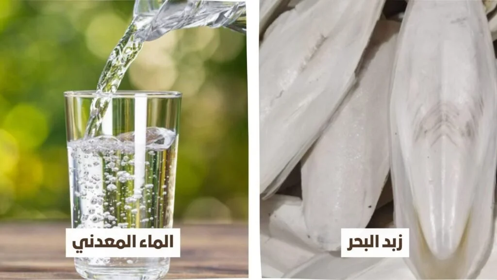 زبد البحر لتكبير الذكر